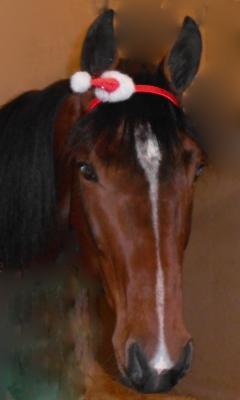 Tore som tomte